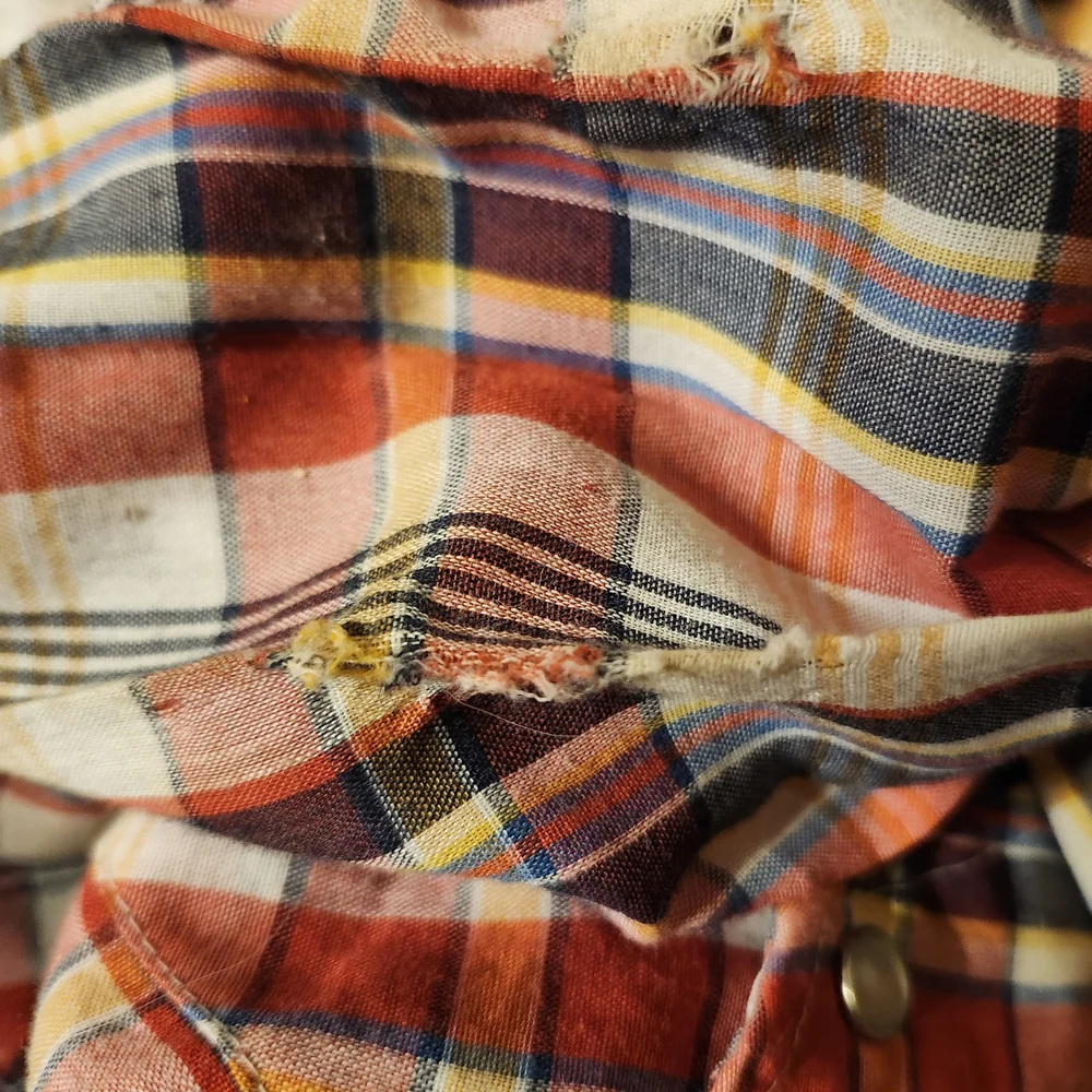 Youngbloods Authenis Western Red and Blue Plaid Button Down Shirt - Picture 6 of 10